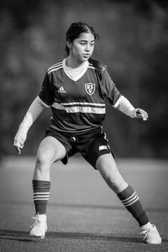 Bild 453 - wU19 Rissener SV - VfL Pinneberg : Ergebnis: 9:1